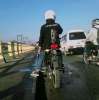 Setia