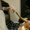 creationofmemes