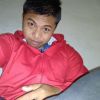 Mch Faresta