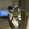 陈逸轩