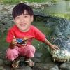 Nammon Anapitcha