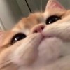 유리
