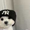 懒人是我.🖤