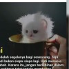 Ramdantrmana04