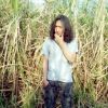 Hok Busharri
