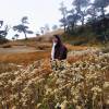 Hnin Thiri Soe