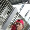 Setia Hati Terate