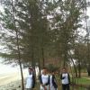 Pandu Bayu