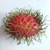 Thai Charoenphol
