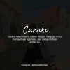 Sirda Cae