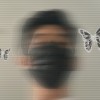 Faridz