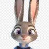 Judy