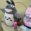铁莉momoko