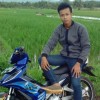 aris