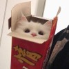 (◍•ᴗ•◍)