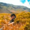 Zhuwant