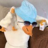DUCK🪿IIOE44