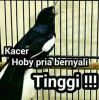 Ghatoet Cme Ghatoet