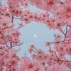 May.Zhao
