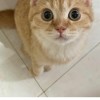 Aw