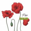 Poppy Claudia