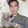 Pukang