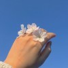 Arychella
