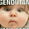 Ciung Wanara