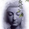 铁林