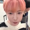 蝶 oiio : 🦊