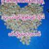 Pyae Phyo