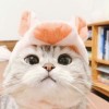 พาขวัญ บุญธรรม