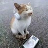 晴晴愛晴天