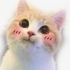 BILL