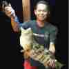 kk cheng