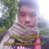 หมาวัด