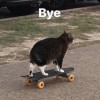 el