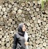 Desy Lindya Apn