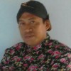 cah mogol