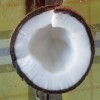 Si Bolang Dari Medan