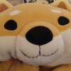 柴犬