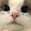 신유