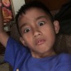 Diel