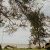 M Syafiq Hidayat