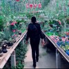 Jia_IQueen