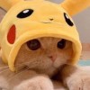 LittelRabbit