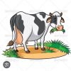 Nay Thwe Khainge