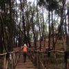 Wulan Kusumawardhani