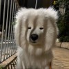 (｡◠‿◠｡)