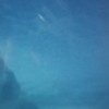 tayblue